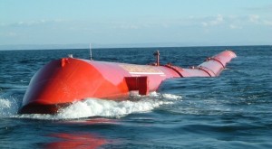 pelamis_2